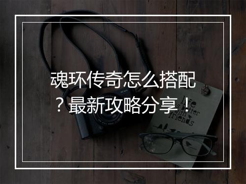 魂环传奇怎么搭配？最新攻略分享！