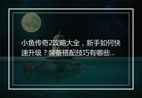 小鱼传奇2攻略大全，新手如何快速升级？装备搭配技巧有哪些？