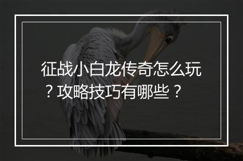 征战小白龙传奇怎么玩？攻略技巧有哪些？