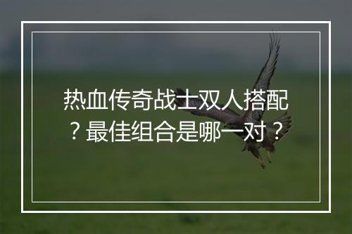 热血传奇战士双人搭配？最佳组合是哪一对？