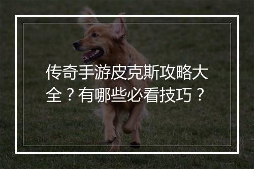 传奇手游皮克斯攻略大全？有哪些必看技巧？