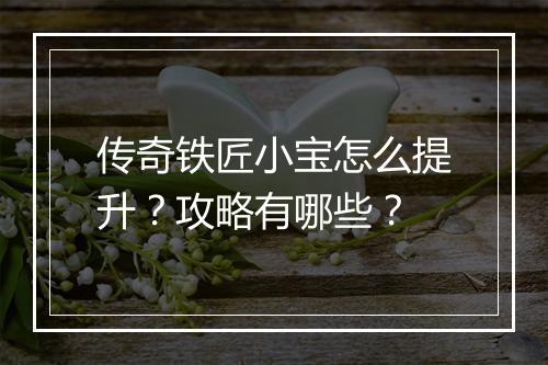 传奇铁匠小宝怎么提升？攻略有哪些？