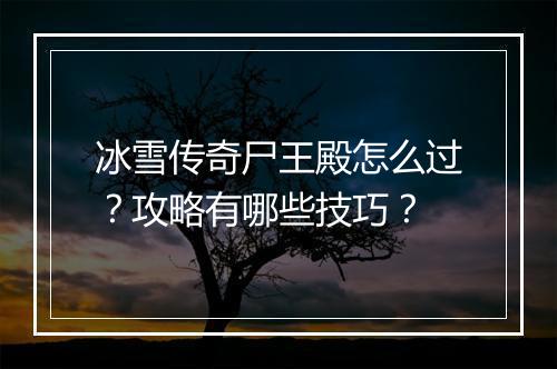 冰雪传奇尸王殿怎么过？攻略有哪些技巧？