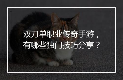 双刀单职业传奇手游，有哪些独门技巧分享？