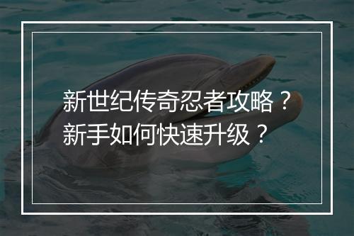 新世纪传奇忍者攻略？新手如何快速升级？