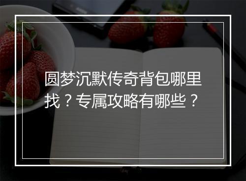 圆梦沉默传奇背包哪里找？专属攻略有哪些？
