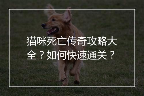 猫咪死亡传奇攻略大全？如何快速通关？