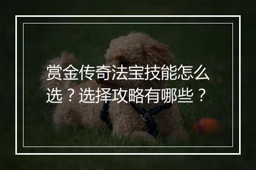 赏金传奇法宝技能怎么选？选择攻略有哪些？