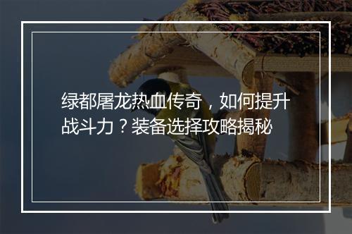 绿都屠龙热血传奇，如何提升战斗力？装备选择攻略揭秘