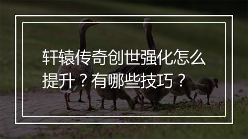 轩辕传奇创世强化怎么提升？有哪些技巧？
