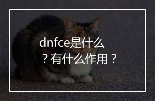 dnfce是什么？有什么作用？