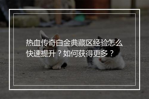 热血传奇白金典藏区经验怎么快速提升？如何获得更多？