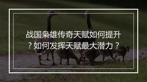 战国枭雄传奇天赋如何提升？如何发挥天赋最大潜力？