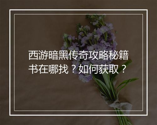 西游暗黑传奇攻略秘籍书在哪找？如何获取？