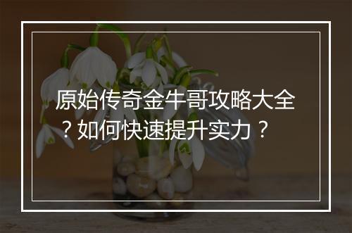 原始传奇金牛哥攻略大全？如何快速提升实力？