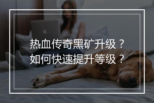 热血传奇黑矿升级？如何快速提升等级？