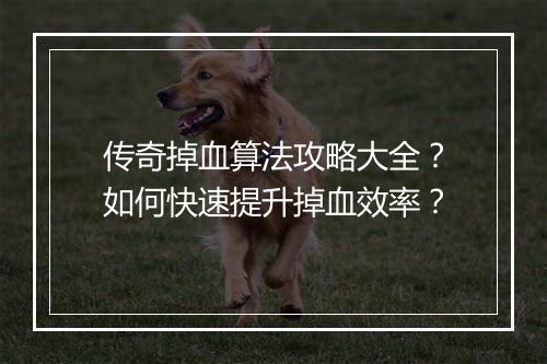 传奇掉血算法攻略大全？如何快速提升掉血效率？