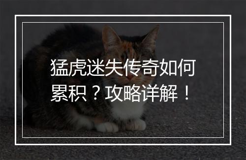 猛虎迷失传奇如何累积？攻略详解！