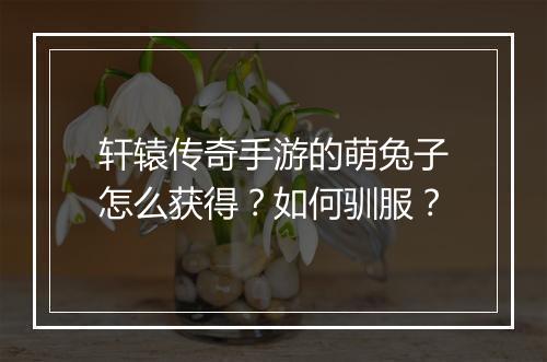 轩辕传奇手游的萌兔子怎么获得？如何驯服？