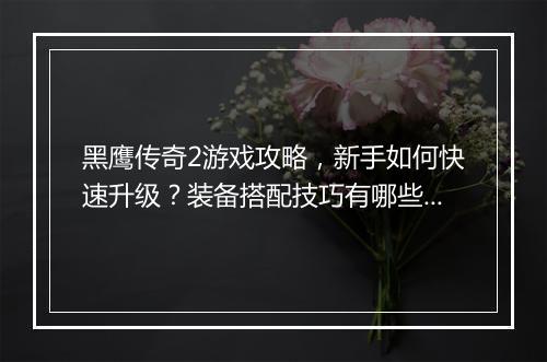 黑鹰传奇2游戏攻略，新手如何快速升级？装备搭配技巧有哪些？