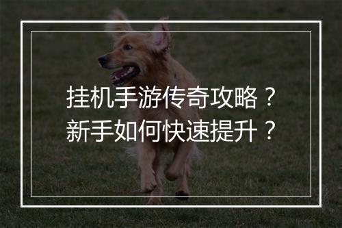 挂机手游传奇攻略？新手如何快速提升？