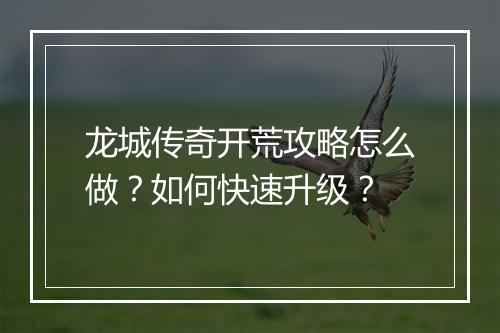 龙城传奇开荒攻略怎么做？如何快速升级？