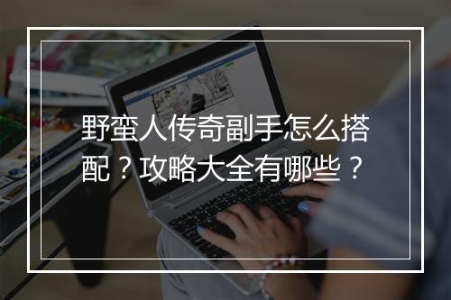 野蛮人传奇副手怎么搭配？攻略大全有哪些？