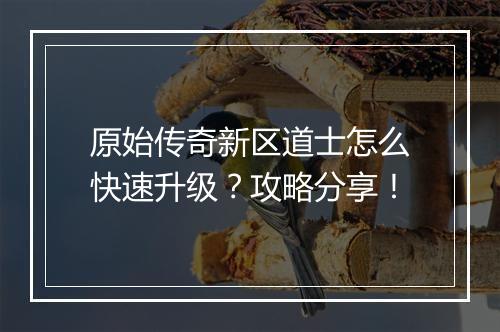 原始传奇新区道士怎么快速升级？攻略分享！