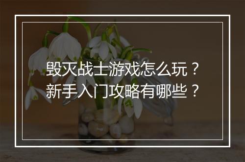 毁灭战士游戏怎么玩？新手入门攻略有哪些？