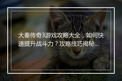 大秦传奇3游戏攻略大全，如何快速提升战斗力？攻略技巧揭秘！