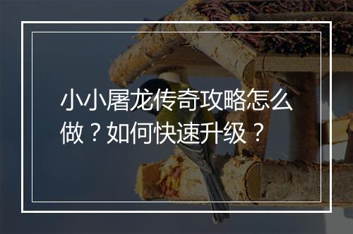 小小屠龙传奇攻略怎么做?如何快速升级?