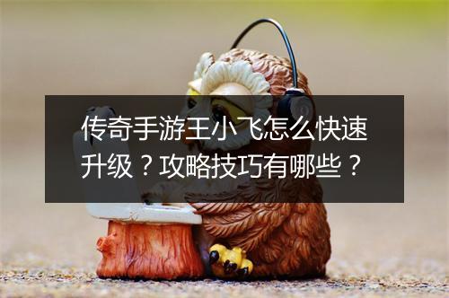 传奇手游王小飞怎么快速升级？攻略技巧有哪些？