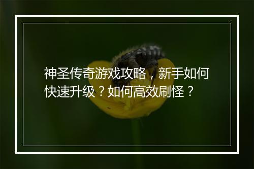 神圣传奇游戏攻略，新手如何快速升级？如何高效刷怪？