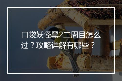 口袋妖怪黑2二周目怎么过？攻略详解有哪些？