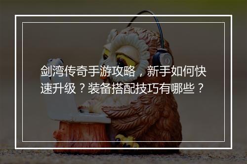 剑湾传奇手游攻略，新手如何快速升级？装备搭配技巧有哪些？