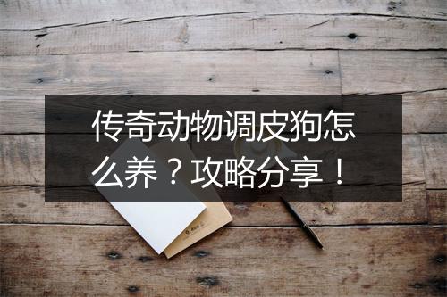 传奇动物调皮狗怎么养？攻略分享！