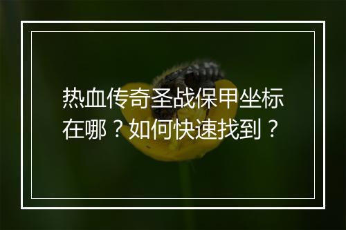 热血传奇圣战保甲坐标在哪？如何快速找到？