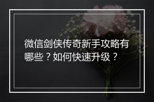 微信剑侠传奇新手攻略有哪些？如何快速升级？