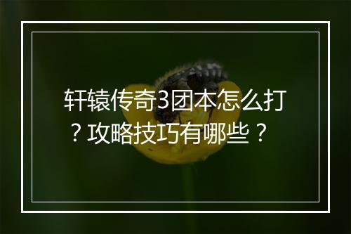 轩辕传奇3团本怎么打？攻略技巧有哪些？