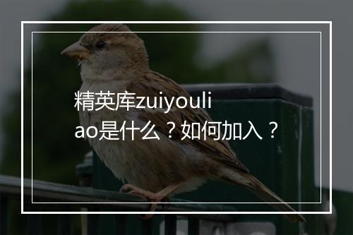 精英库zuiyouliao是什么？如何加入？