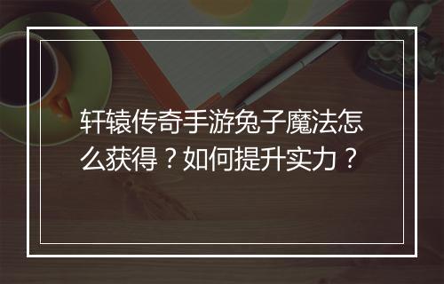 轩辕传奇手游兔子魔法怎么获得？如何提升实力？