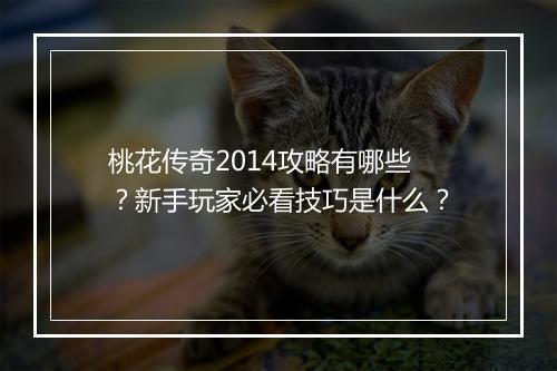 桃花传奇2014攻略有哪些？新手玩家必看技巧是什么？