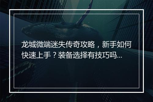 龙城微端迷失传奇攻略，新手如何快速上手？装备选择有技巧吗？