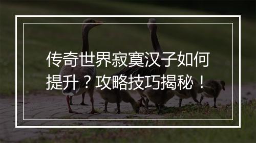 传奇世界寂寞汉子如何提升？攻略技巧揭秘！