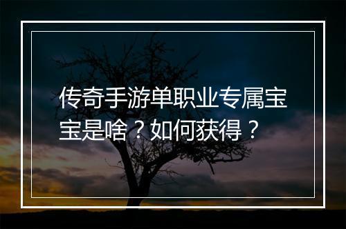 传奇手游单职业专属宝宝是啥？如何获得？