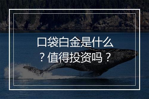 口袋白金是什么？值得投资吗？