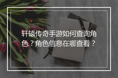 轩辕传奇手游如何查询角色？角色信息在哪查看？
