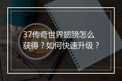 37传奇世界翅膀怎么获得？如何快速升级？