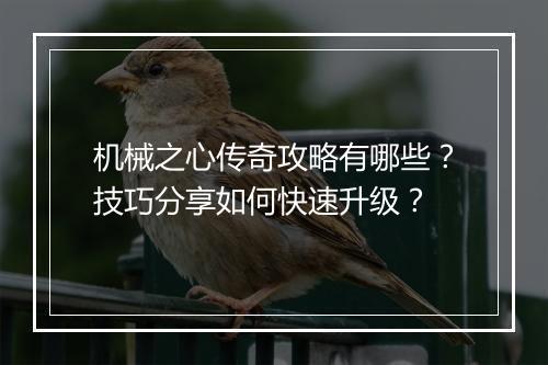 机械之心传奇攻略有哪些？技巧分享如何快速升级？