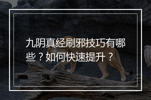 九阴真经刷邪技巧有哪些？如何快速提升？